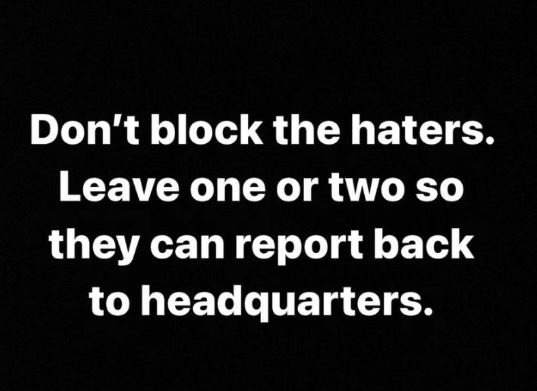 Don't block the haters. leave one or two so they can report back to headquarters