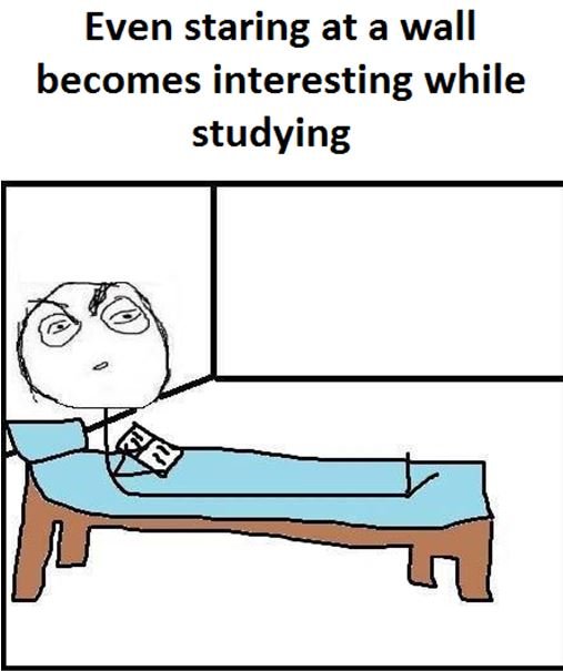 Even staring at a wall becomes interesting while studying
