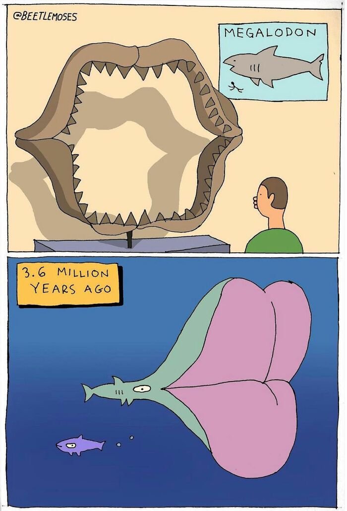 Beetlemoses megalo do n 3.6 million years a 60