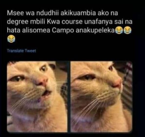 Msee wa ndudhii akikuambia ako na degree mbili kwa course unafanya sai na hata a