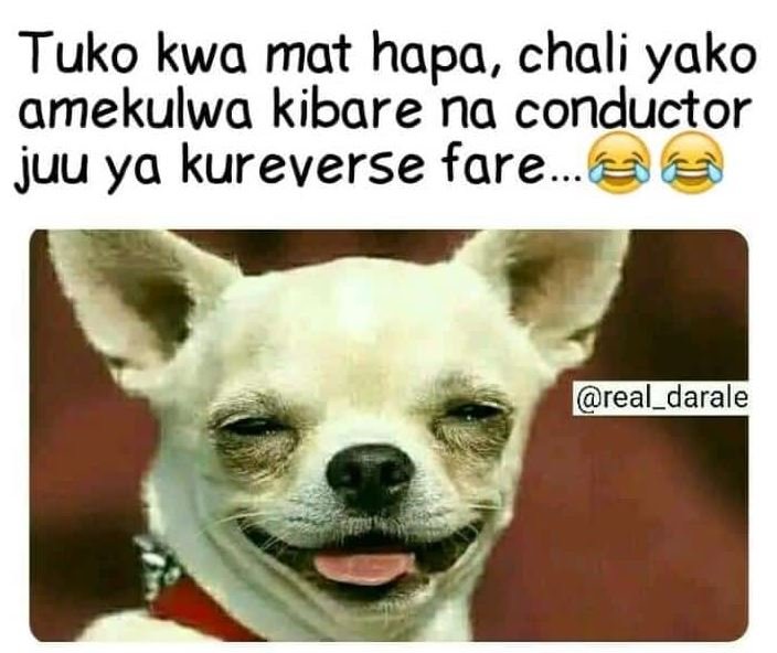 Tuko kwa mat hapa, chali yako amekulwa kibare na conductor juu ya kureverse fare