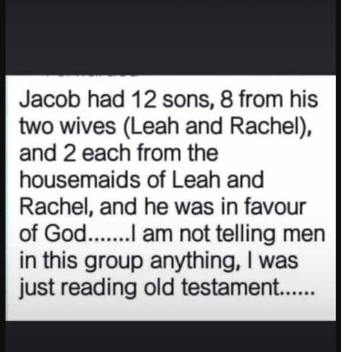 Jacob had 12 sons, 8 from his two wives Leah and Rachel and 2 each from the hous