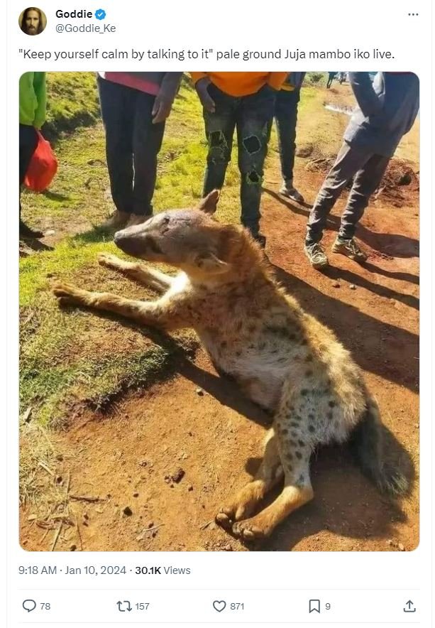 Goddie goddie_ke 'keep yourself calm by talking to it pale ground juja mambo iko