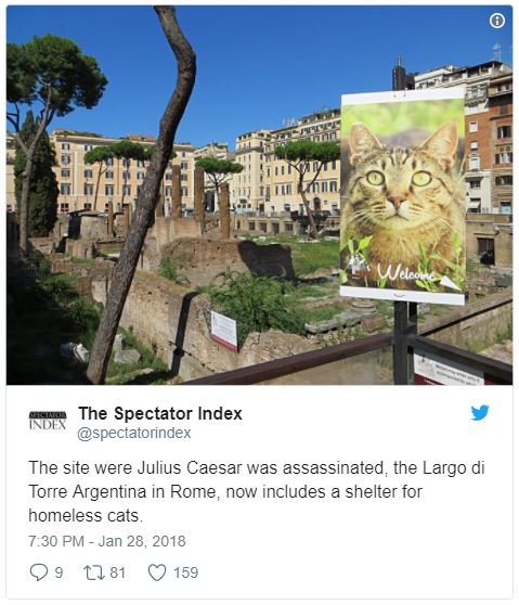 Wuddo the spectator index ndfs spectatorindex the site were julius caesar was as