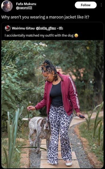 Fafa mukuru osciov follow why aren't you wearing a maroon jacket like it? wairim