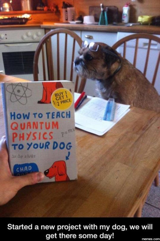 8 price how to teach quantum p? m1 physics to your dog ar 01v87 chad started a n