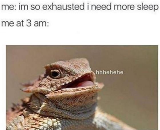 Me im so exhausted i need more sleep me at 3 am hhhehehe