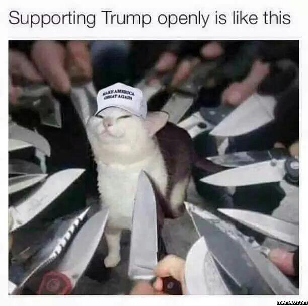 Supporting trump openly is like this memescom