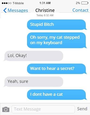 900 tmobile 131 am 26 messages christine today 8.32 am contact stupid bitch oh s