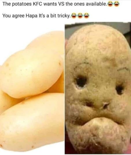 The potatoes KFC wants VS the ones available You agree Hapa Its a bit tricky.