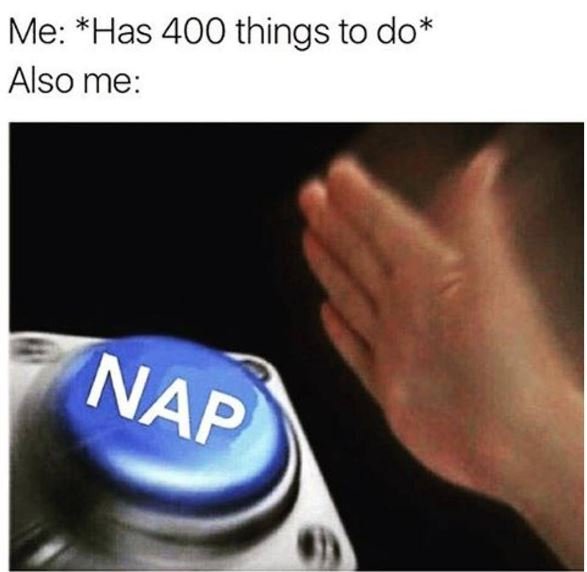 Me has 400 things to do also me nap