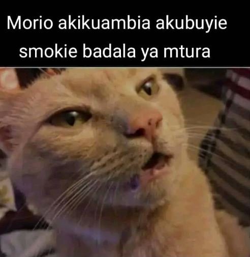 Morio akikuambia akubuyie smokie badala ya mtura