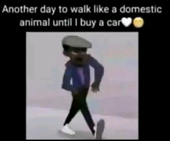 Another day 10 walk like a domestıc anımal untıl buy a car
