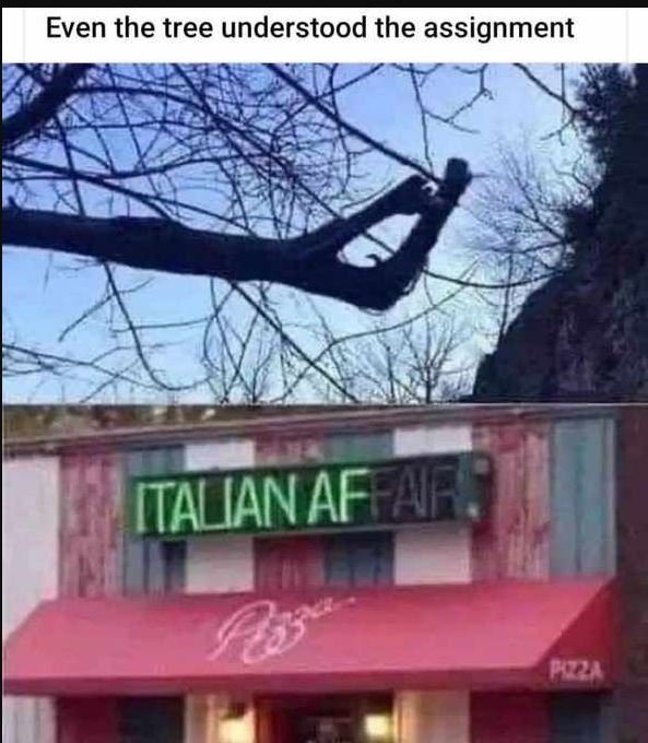 Even the tree understood the assignment italianafeaf 84