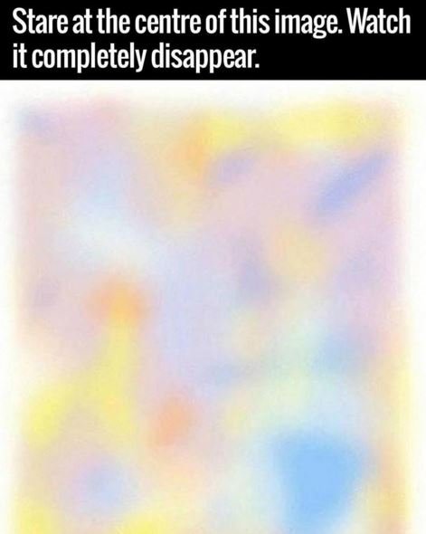 Stare atthecentre ofthis image watch itcompletely disappear