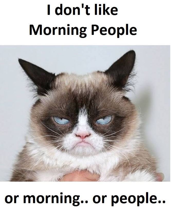 1 don't like morning people or morning.. or people..