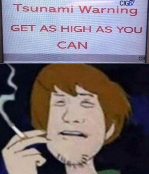 Cigvv tsunami warning get as high as you can