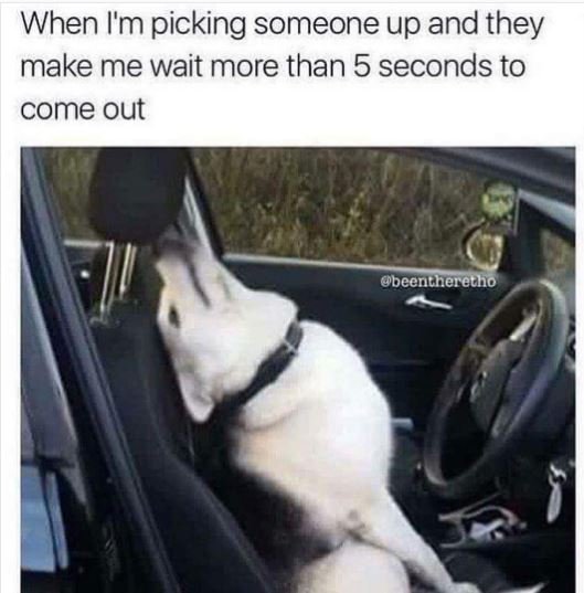 When i'm picking someone up and they make me wait more than 5 seconds to come ou