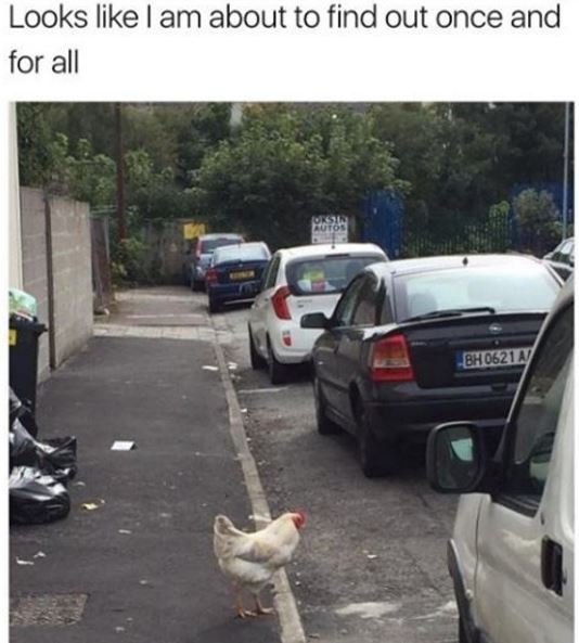 Looks like am about to find out once and for all