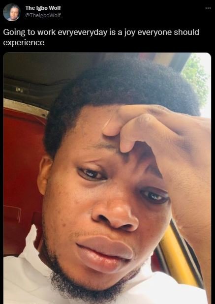 The Igbo Wolf ThelgboWolf _ Going to work evryeveryday is a joy everyone should