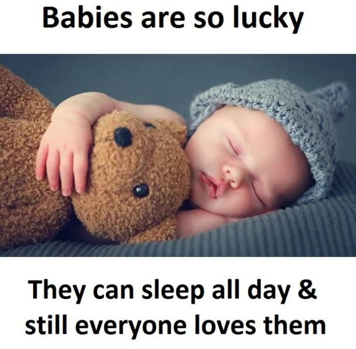 Babies are so lucky they can sleep all day still everyone loves them