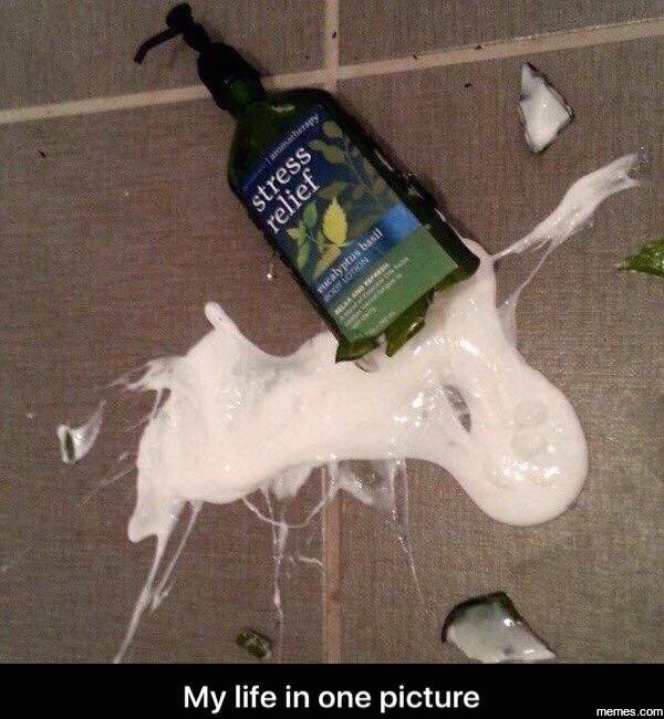 My life in one picture memes com 8 !