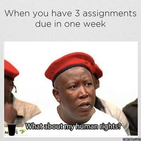When you have 3 assignments due in one week whacaboucmyhuma ights? memesucom