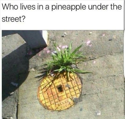 Who lives in a pineapple under the street?