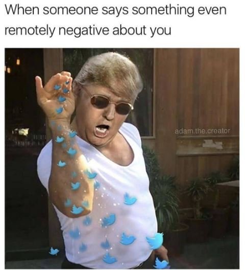 When someone says something even remotely negative about you adam the crealor