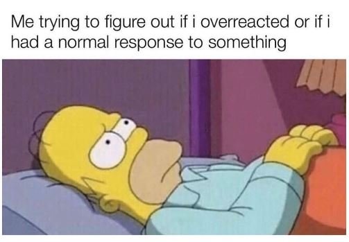 Me trying to figure out if i overreacted or if i had a normal response to someth