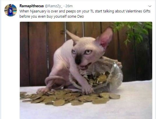 Ramapithecus ramzzy _ 26m when njaanuary is cver anc peeos on ycur tl start talk