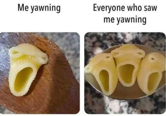 Me yawning Everyone who saw me yawning