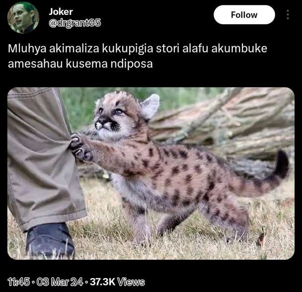 Joker dngrant05 follow mluhya akimaliza kukupigia stori alafu akumbuke amesahau