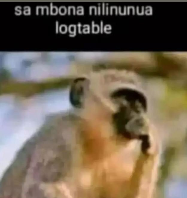 Sa mbona nllinunua logtable