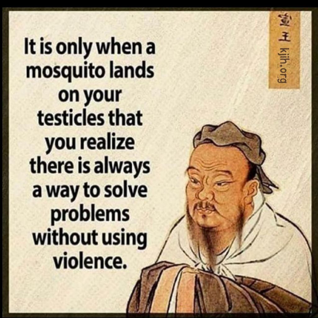 2 8 itis only whena mosquito lands on your testicles that you realize there is a