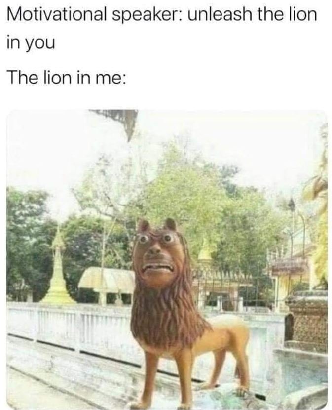 Motivational speaker unleash the lion in you the lion in me