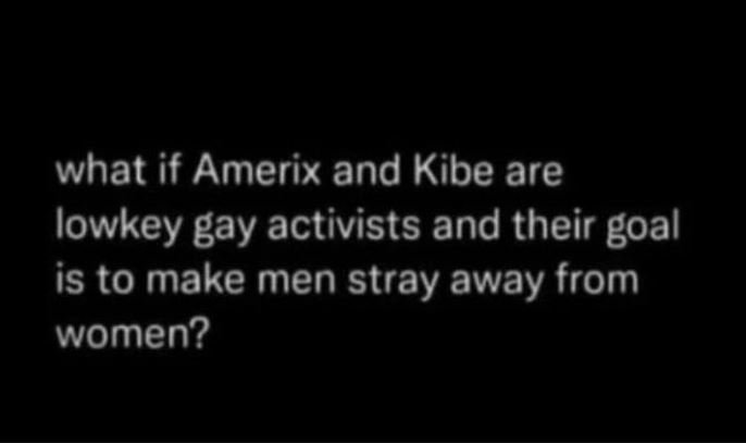 What if amerix and kibe are lowkey gay activists and their goal is to make men s