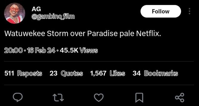 Ag ambinofilm follow watuwekee storm over paradise pale netflix 16 feb 24 45.5k