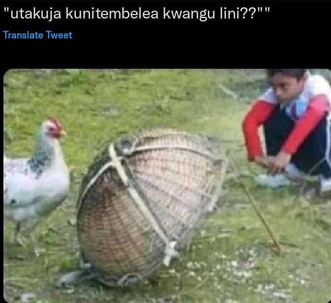 Utakuja kunitembelea kwangu lini?? translate tweet