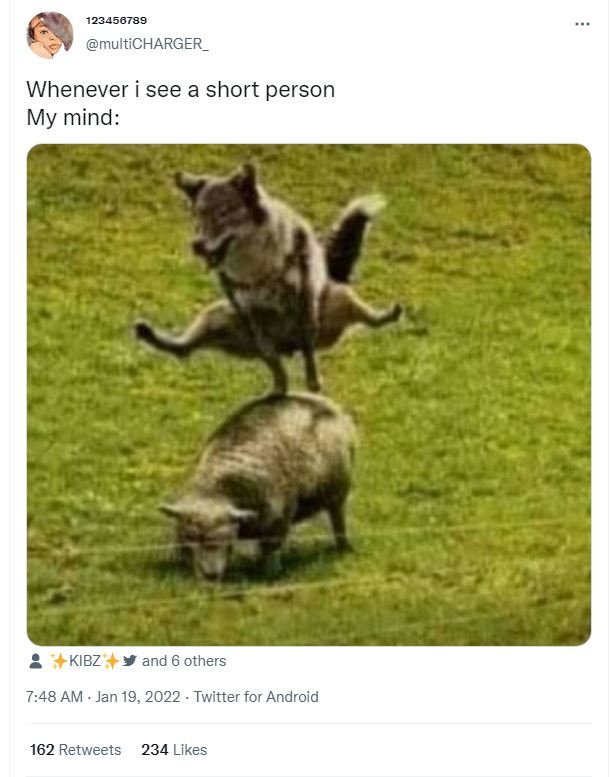 multiCHARGER _ Whenever see a short person My mind KIBZ and 6 others 7.48 AM Jan