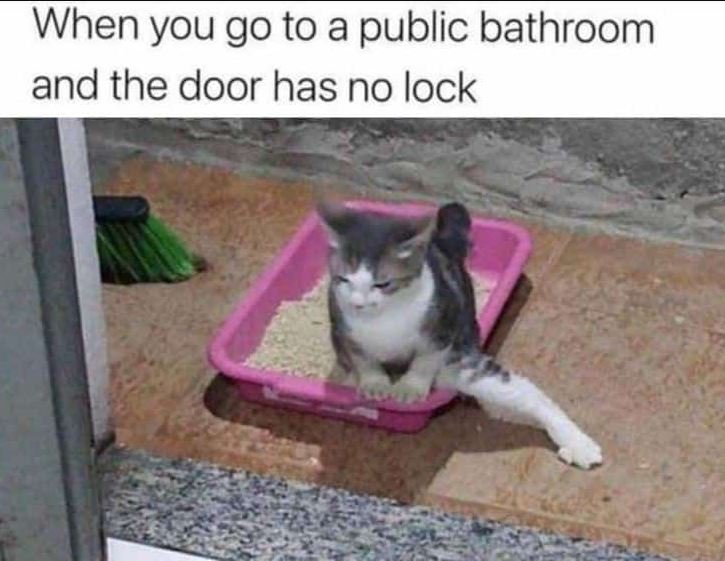 When you go to a public bathroom and the door has no lock
