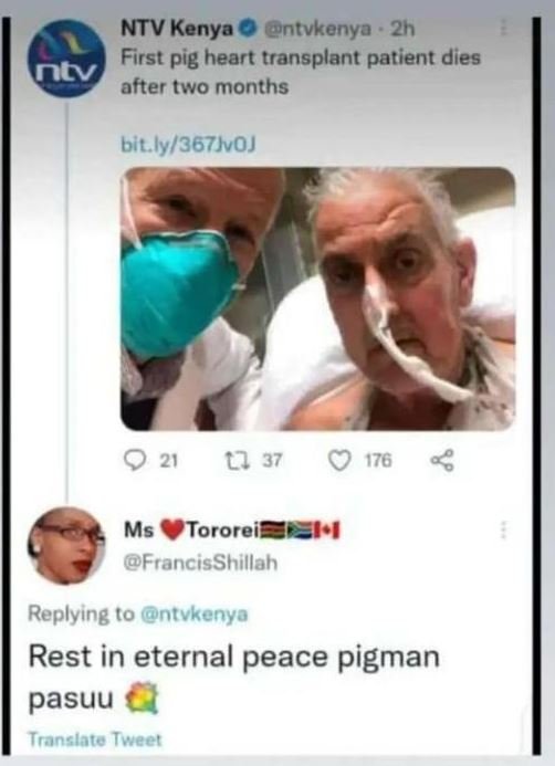 Ntv kenya entvkenya 2h first pig heart transplant patient dies ntv fter two mont