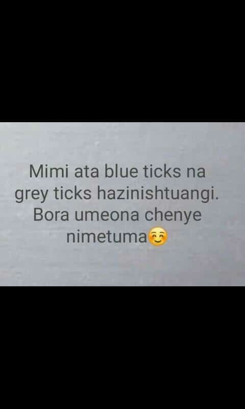 Mimi ata blue ticks na grey ticks hazinishtuangi. bora umeona chenye nimetuma