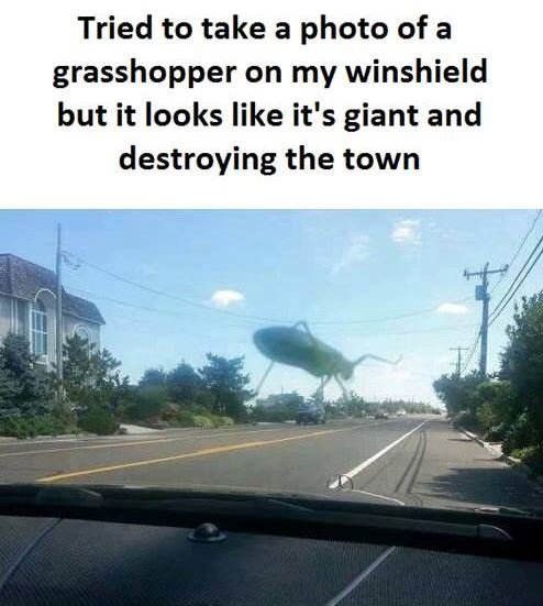 Tried to take a photo of a grasshopper on my winshield but it looks like it's gi