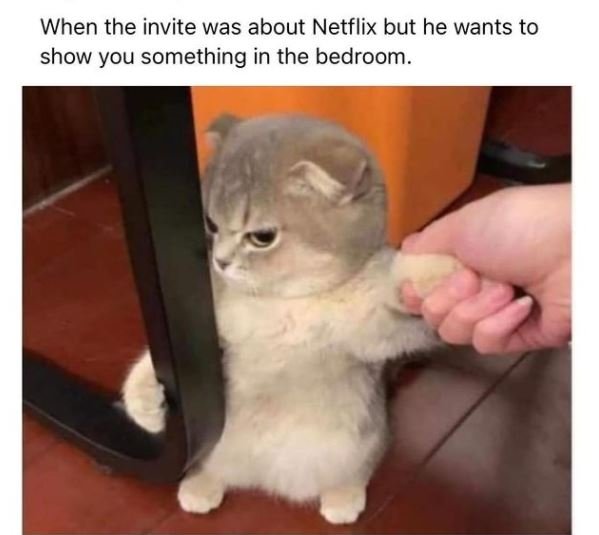 When the invite was about Netflix but he wants to show you something in the bedr