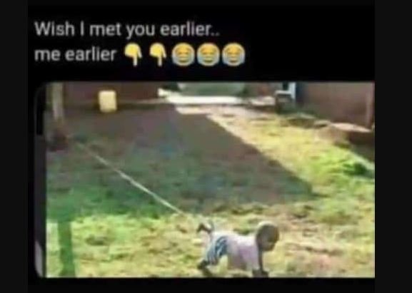 Wish met you earller . me earller