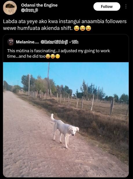 Odansi the engine dhedn follow labda ata yeye ako kwa instangui anaambia followe