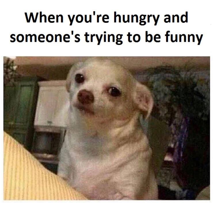 When you're hungry and someone's trying to be funny
