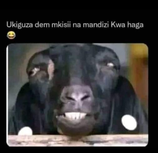 Ukiguza dem mkisii na mandizi kwa haga