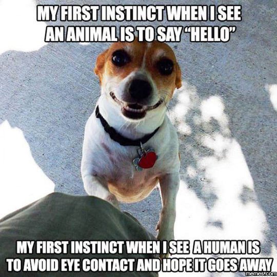 Mgrstrstnctwenisee mmmnmalistosayhhelzlo my first instinct when isehuiis to avoi